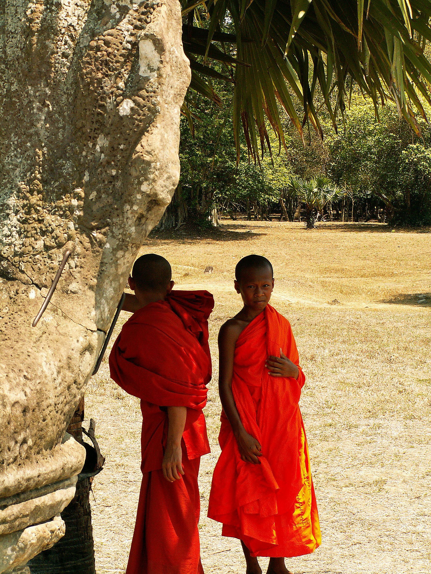 Image 32